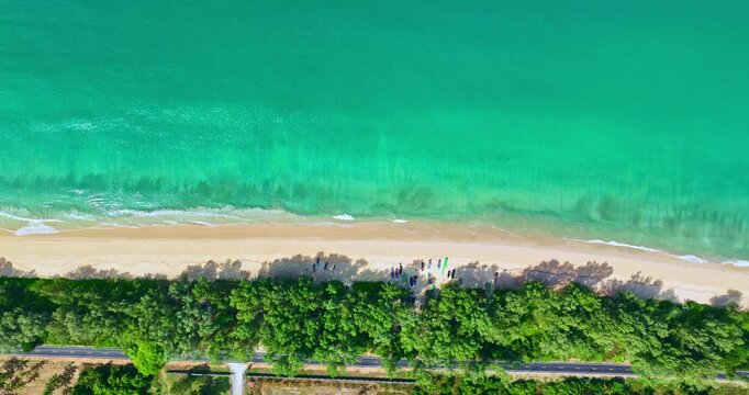 Aerial view of Turquoise Ocean Meets Sandy Coast. The shadows of the pine trees fall upon the long, white sandy beach that stretches as far as the eye can see. Natural Beach Pattern