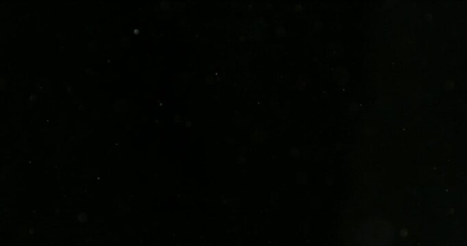 Super slow motion fine dust particles floating through the air on a black background. Subtle atmospheric SFX overlay with soft drifting specks, cinematic texture and dark visual effect.
