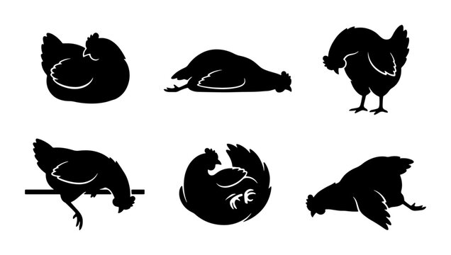 Chicken Silhouettes Collection, Farm Animal Poses Vector Set, Black Fowl Graphic Elements for Agriculture and Poultry Designs
