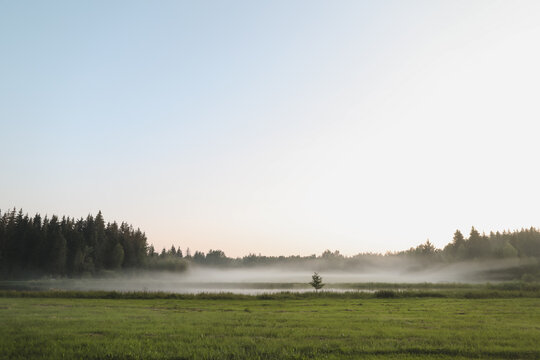 Scenic picturesque landscape view. rural nature in countryside in summer morning, foggy sunrise. Serene peaceful nature countryside