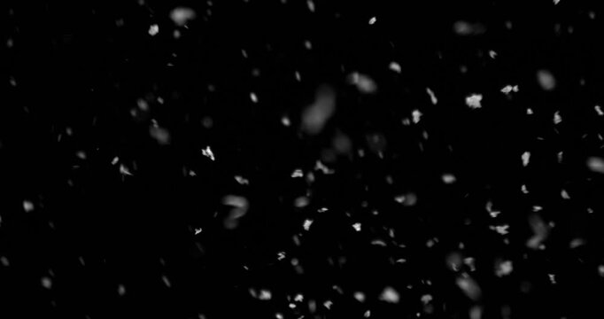 Super slow motion blizzard snow particles flying across a black background. Intense winter storm SFX overlay with chaotic flakes, windblown debris and cinematic atmospheric texture.