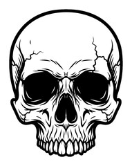 Fototapeta premium Front View Human Skull Head Black and White Outline Line Art Drawing Vector Illustration Design