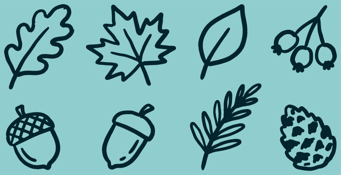 Hand-drawn vector illustration of autumn leaves and acorns on a blue background.