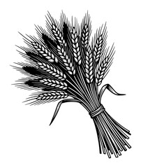 Fototapeta premium Wheat Ears Bundle Black and White Outline Line Art Drawing Vector Illustration Design Style