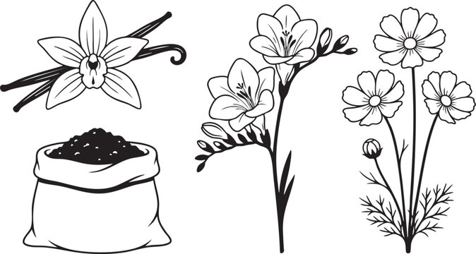 Freesia Illustration Images – Browse 13,702 Stock Photos, Vectors