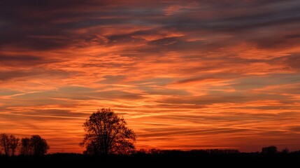 Fototapeta premium Colorful sunset sky over silhouetted trees