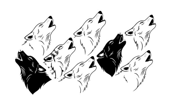 Eight wolf heads howling in unison black and white illustration