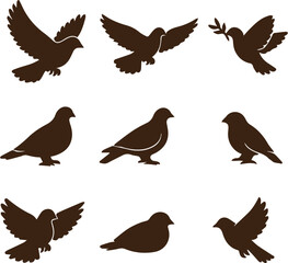 Fototapeta premium set of silhouettes of birds