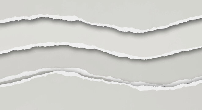 Torn paper edges with soft shadows and light gray background.