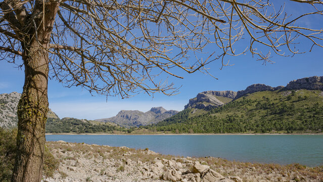 Mallorca, Spain - 15 Feb 2026: Cuber Reservoir in Mallorca's Tramuntana mountains