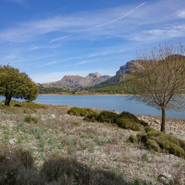 Mallorca, Spain - 15 Feb 2026: Cuber Reservoir in Mallorca's Tramuntana mountains
