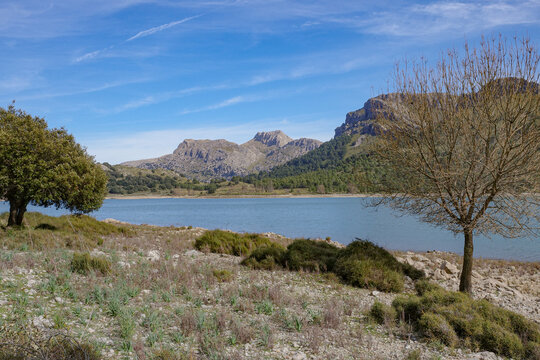 Mallorca, Spain - 15 Feb 2026: Cuber Reservoir in Mallorca's Tramuntana mountains