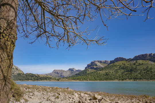 Mallorca, Spain - 15 Feb 2026: Cuber Reservoir in Mallorca's Tramuntana mountains