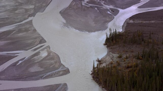 Braided river flowing through a northern landscape with a coniferous forest on the riverbank