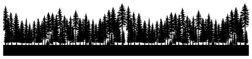 Pine forest tree silhouette with dense coniferous woodland landscape in minimalist style © Cristiano
