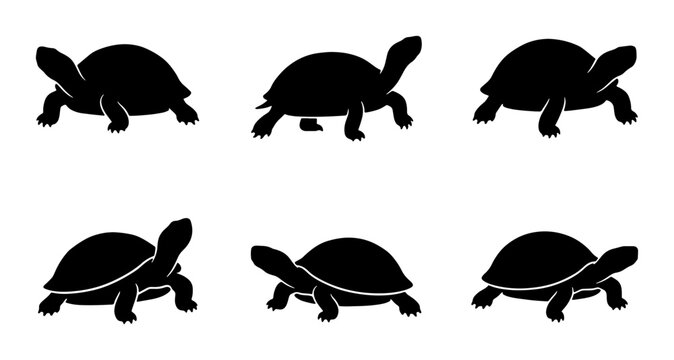 Six Silhouette Tortoises, Reptile Vector Icons, Slow Movement Symbolism, Black and White Animal Graphics, Nature Wildlife Illustration