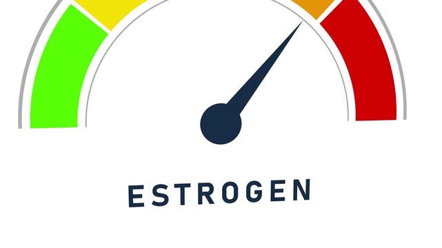 An estrogen level indicator gauge with a dark blue needle pointing to the lower section of the scale featuring green yellow and red segments on a white background