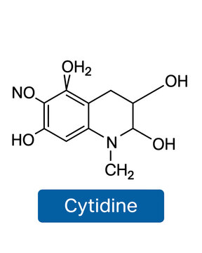Cytidine molecule structure with chemical bonds and elements labeled