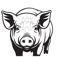 Fototapeta premium Vector pig head front view illustration for farm animal logo or pork mascot design