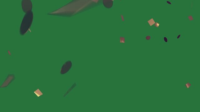 Animated Green Gold Flower Confetti Border Center Bunch Apple Green Screen Chroma Key Motion Graphic