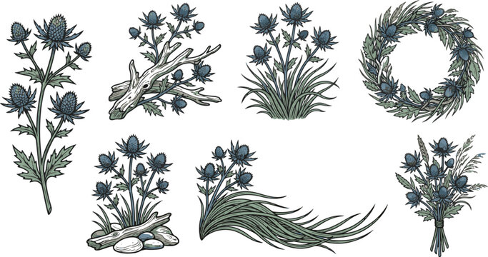 Vintage botanical flower illustrations and wreath designs