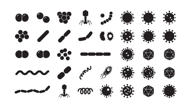 Bacterial Shapes and Viral Structure Silhouette Icons