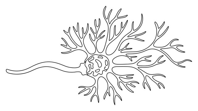 Human neuron nerve cell with dendrites and axon representing brain activity in line art style