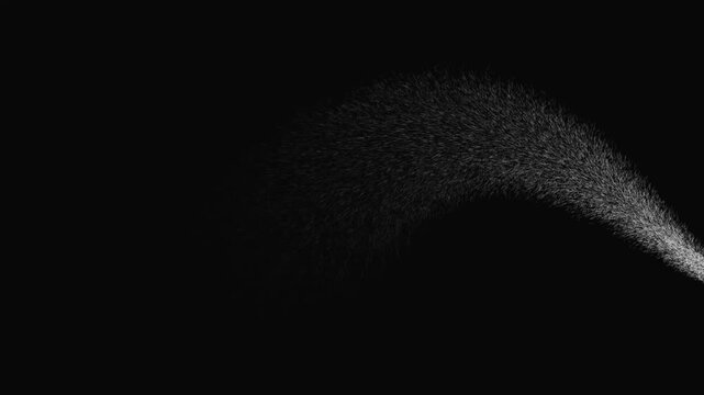 Glitter sparkle trail animation, magic fairy dust particles, glowing comet line effect, twinkling stars shimmer, white glitter flare motion, black background visual effect loop hd overlay