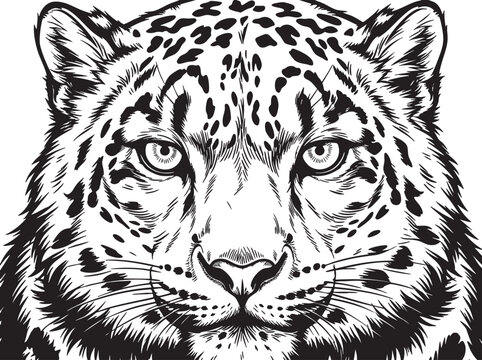 Black and white leopard face, wildlife illustration, animal portrait, vector graphic