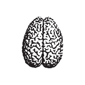 Human Brain and Intelligence Symbol