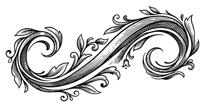 Decorative scroll ornament with leaf flourishes and floral motifs in vintage engraving style
