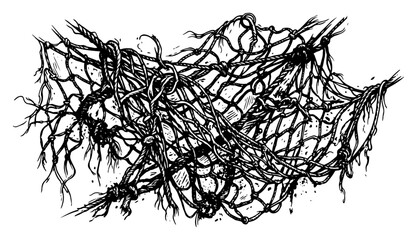Tangled fishing net with messy rope texture in engraving style © AnjaliDesai