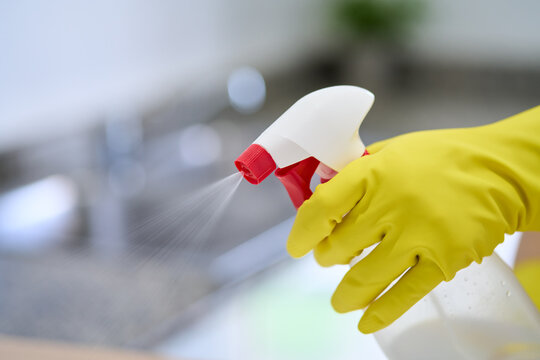 People in gloves cleans with disinfectant spray for housekeeping, bacteria removal or housework. Hygiene, person and chemical bottle for domestic chores, germ protection or virus sanitation at home.
