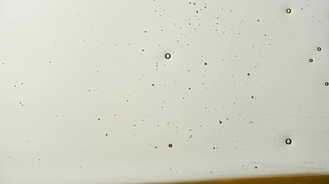 Minimal abstract texture with small oil bubbles and liquid particles on white background. Clean macro pattern for cosmetic, science, food, and design concepts.