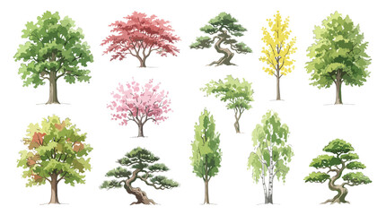 Fototapeta premium Set of various stylized trees