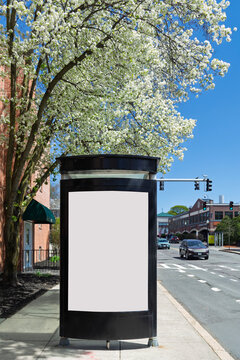 Blank advertising billboard beside blooming spring tree along urban street in the Brighton 