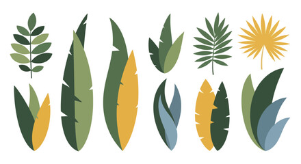 Collection of various tropical leaves and foliage in a flat design style. © Enggal