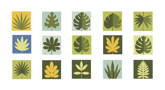 Collection of various tropical leaf illustrations in a flat design style.