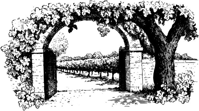Archway surrounded by vines and trees in a black and white vector illustration. Detailed sketch of a garden path leading into a scenic landscape.
