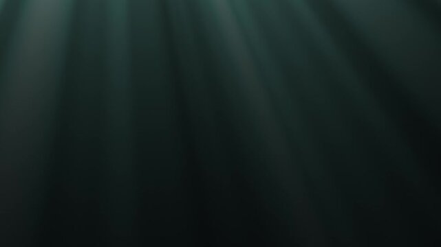 4K Cinematic Green Light Rays for Nature and Forest Atmosphere