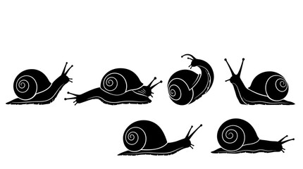 snail silhouettes in side view, solid black shapes, each in different poses such as crawling. © Dini