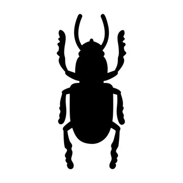 Black Beetle Silhouette Insect Icon - Minimal black beetle symbol isolated on gray background, representing insects, nature, entomology, pests, and wildlife graphic design concepts.
