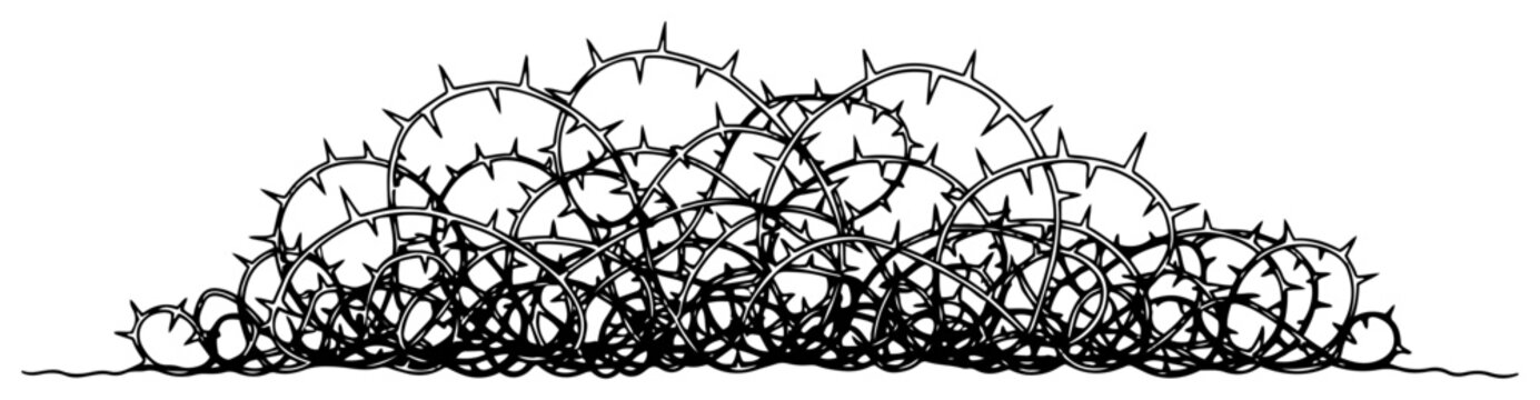 Single continuous line drawing of a dense tangle of thorny branches and brambles
