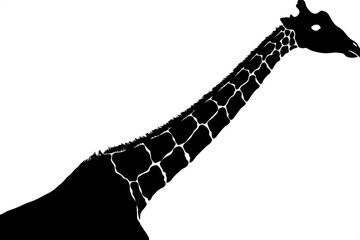 Giraffe Silhouette: A striking black silhouette of a giraffe's head and long neck, showcasing its iconic patterned coat, stands out against a clean white background. © MetaPixel Studio