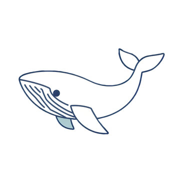 Whale vector illustration of a fish swimming in the ocean, designed as a cartoon-style marine animal icon or logo