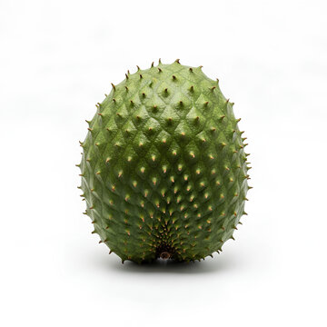 Fresh green soursop fruit isolated on a white background.