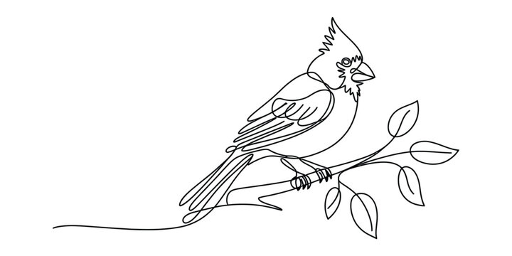 Continuous single line drawing of a northern cardinal bird perched on a tree branch with leaves Vector, illustration