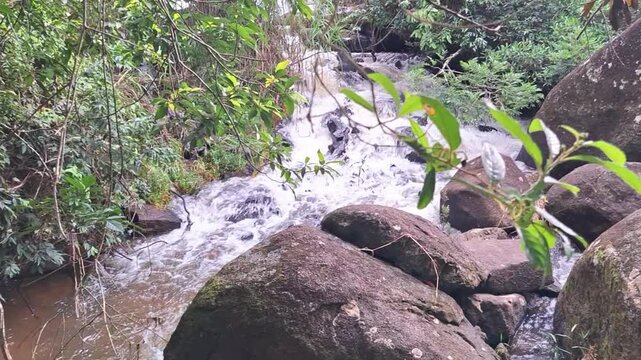 corredeira na serra do Brigadeiro, cidade de Araponga, Estado de Minas Gerais, Brasil