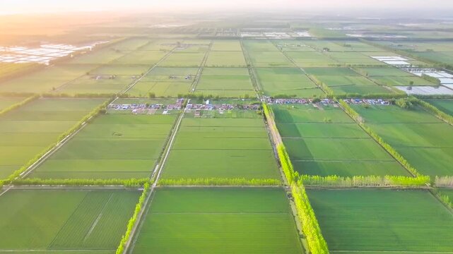 Aerial View of Green Farmland and Rural Village at Sunrise
