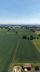 Obraz premium Panoramic Landscape of Rural Farmland: An expansive aerial view showcases a vast expanse of vibrant green farmland under a clear blue sky, dotted with trees and a small building.